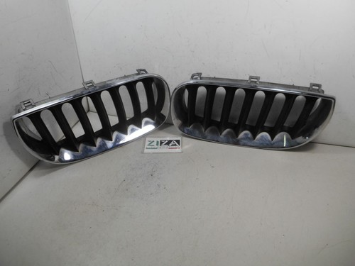 Griglie anteriori bmw - anteriori, e83