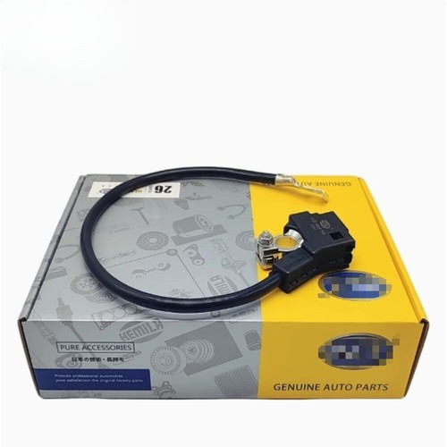 Cavo meno batteria - , 61219302358